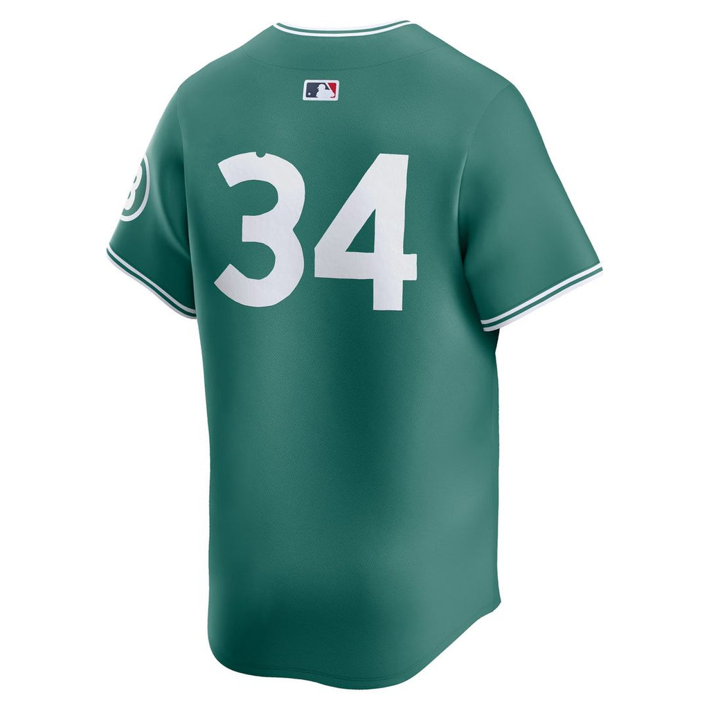 Boston Red Sox Nike David Ortiz 2025 City Connect Limited Retired Baseball Jersey - Green