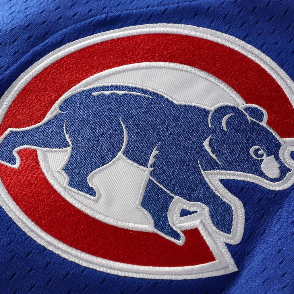 Chicago Cubs Mitchell & Ness Ryne Sandberg Cooperstown Collection 1997 Mesh Batting Practice Button-Up Baseball Jersey - Royal