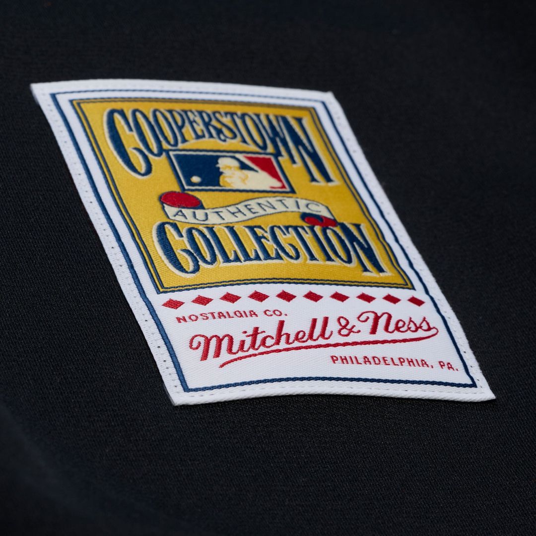 Arizona Diamondbacks Mitchell & Ness Randy Johnson 2001 Authentic Baseball Jersey - Black