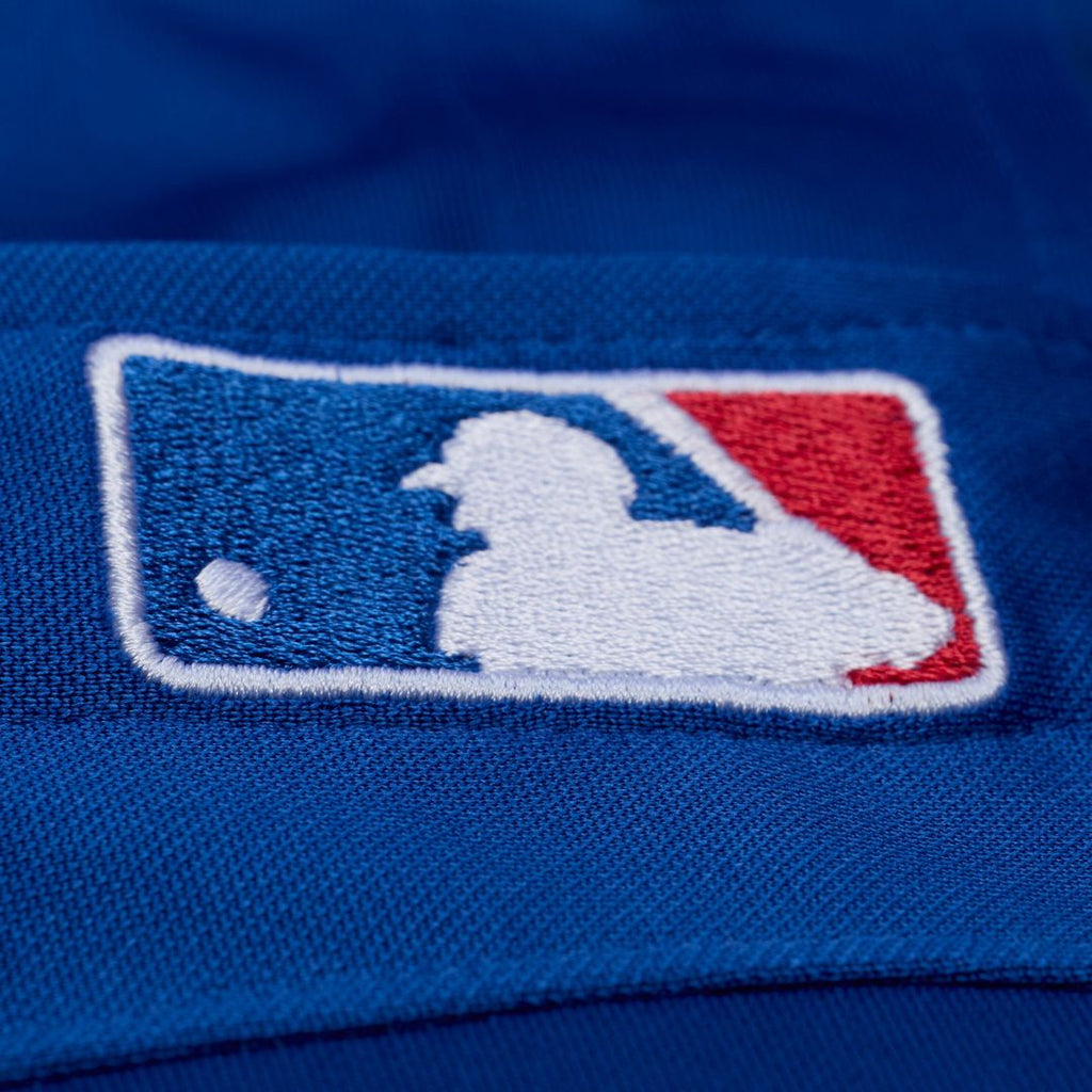 Texas Rangers Mitchell & Ness Adrian Beltre Cooperstown Mesh Batting Practice Button-Up Baseball Jersey - Royal