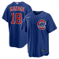 Chicago Cubs Nike Shota Imanaga Alternate Replica Baseball Jersey - Royal