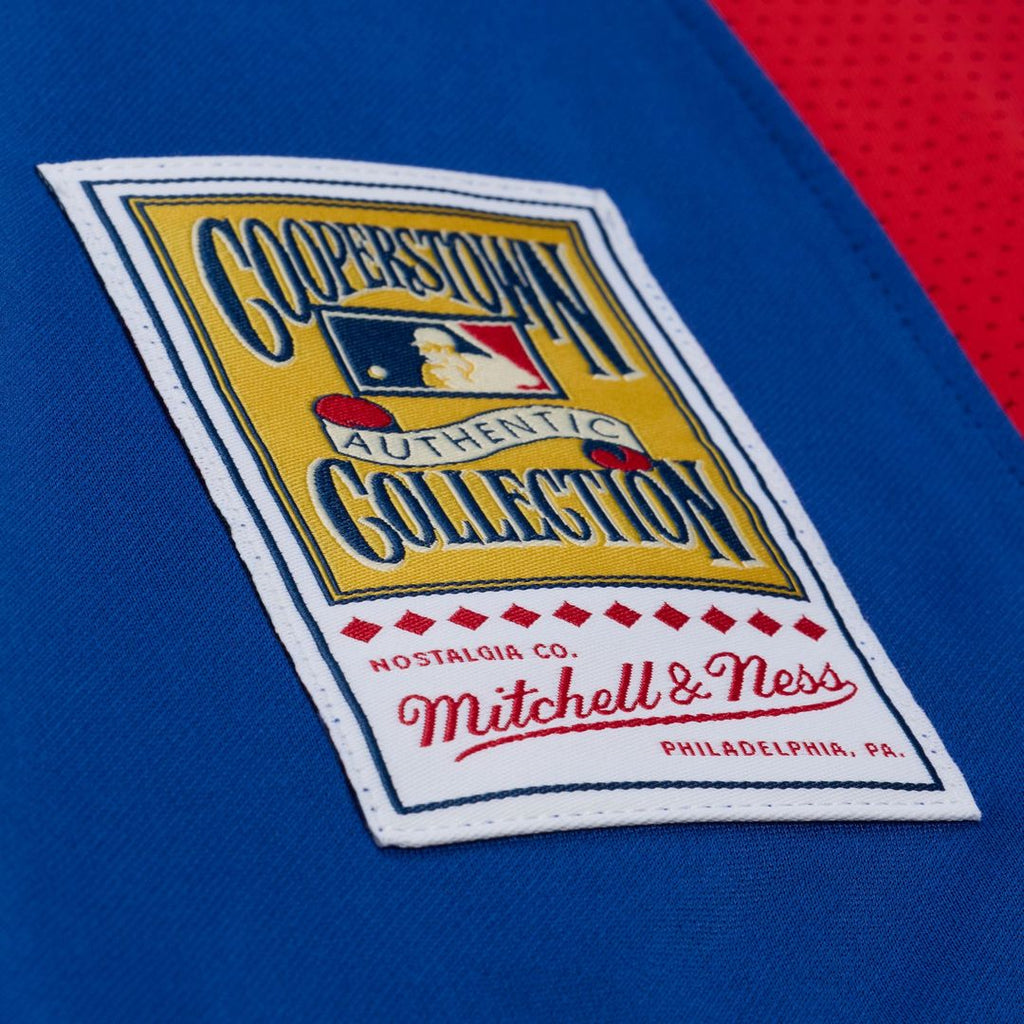 Texas Rangers Mitchell & Ness Adrian Beltre Cooperstown Mesh Batting Practice Button-Up Baseball Jersey - Royal