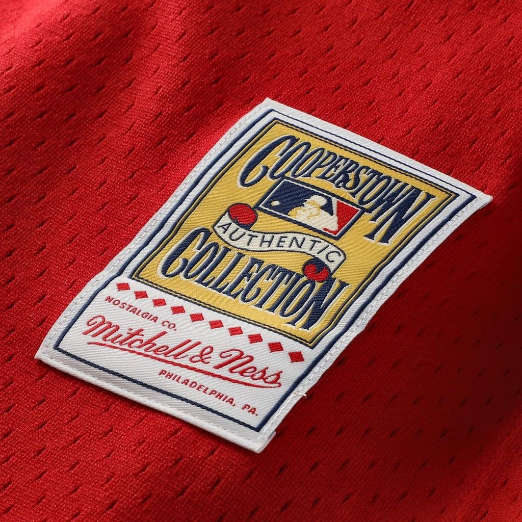 Cincinnati Reds Mitchell & Ness Johnny Bench Cooperstown Collection Big & Tall Mesh Batting Practice Baseball Jersey - Red