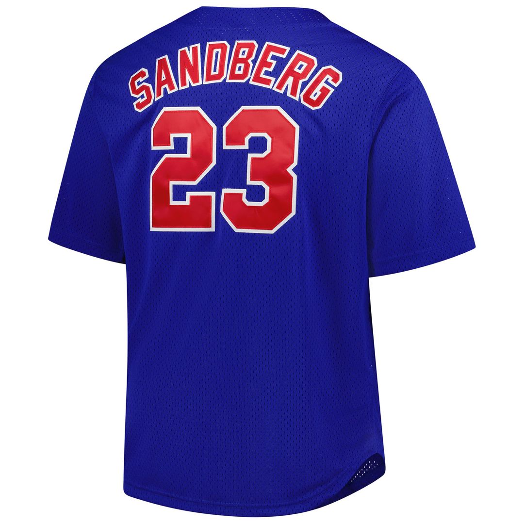 Chicago Cubs Mitchell & Ness Ryne Sandberg Big & Tall Cooperstown Mesh Batting Practice Baseball Jersey - Royal