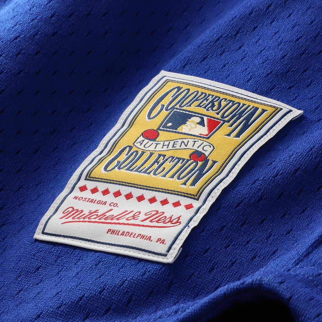 Chicago Cubs Mitchell & Ness Ryne Sandberg Cooperstown Collection 1996 Mesh Batting Practice Button-Up Baseball Jersey - Royal