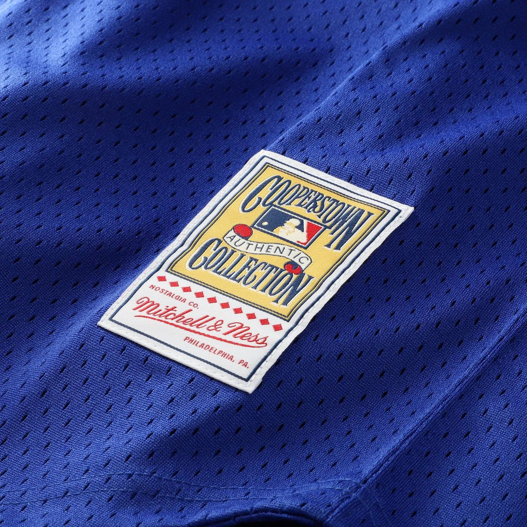 Kansas City Royals Mitchell & Ness Bo Jackson Cooperstown Collection Big & Tall Mesh Batting Practice Baseball Jersey - Royal